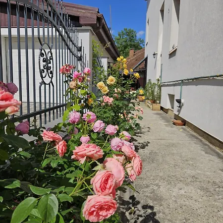 公寓 Maison Lulu *